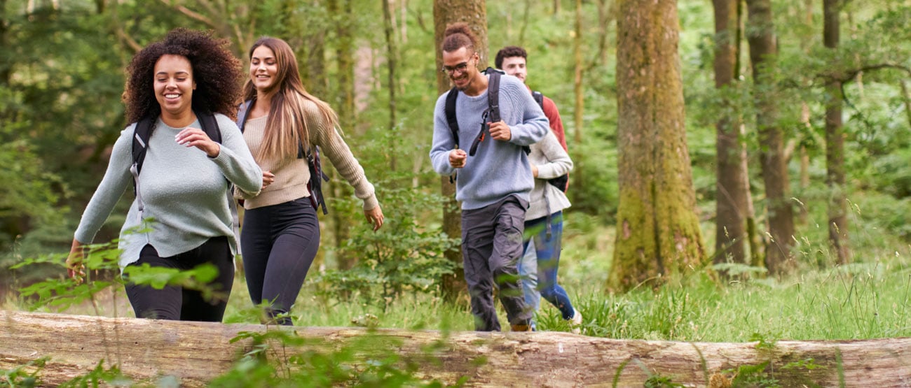 A group of four people hiking through the woods with backpacks.