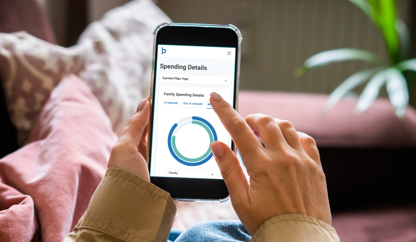 Phone with blueprint portal app spending details open